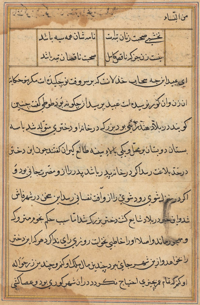Página de Cuentos de un Loro (Tuti-nama): página de texto de Unknown artist