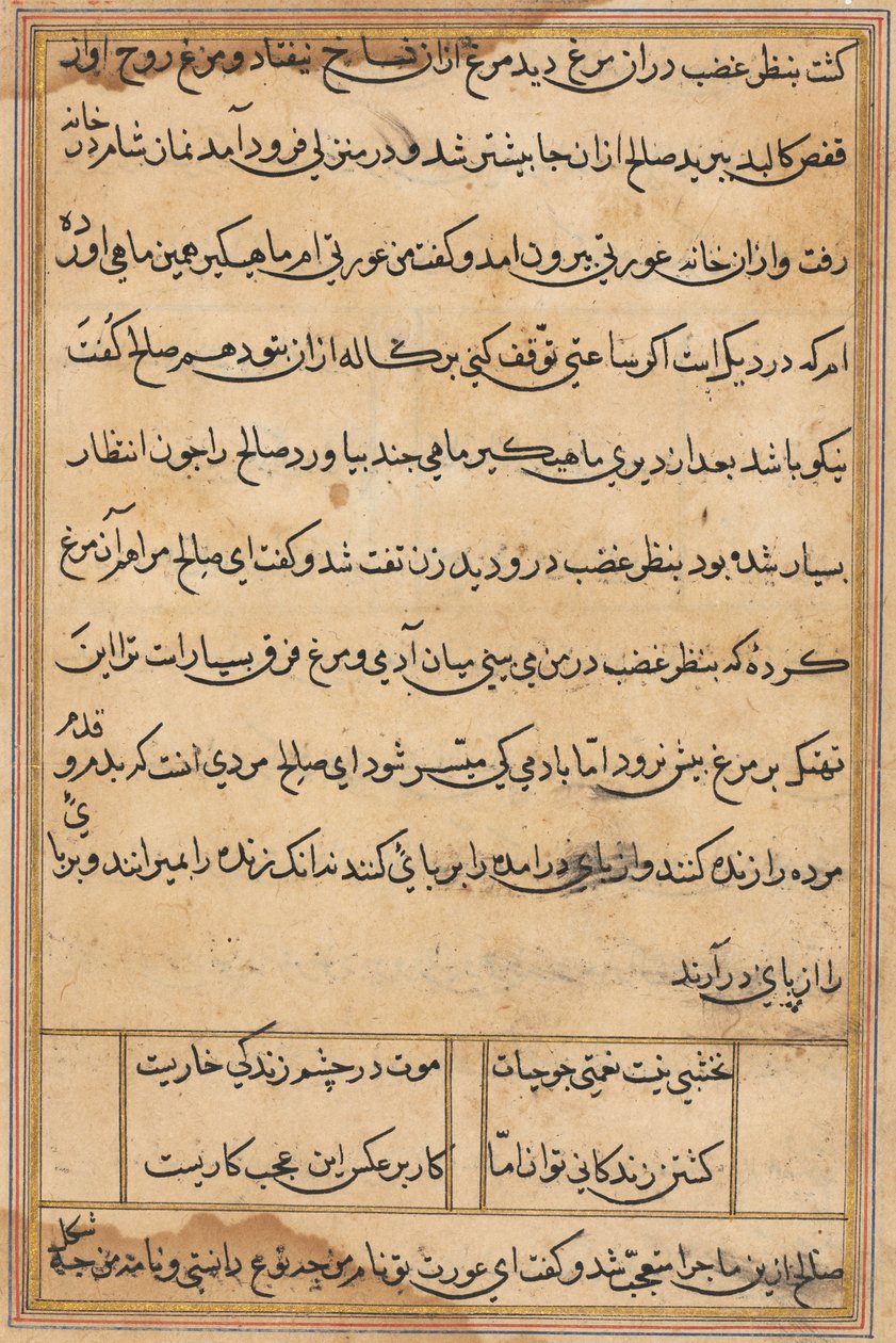 Página de Cuentos de un Loro (Tuti-nama): página de texto de Unknown artist