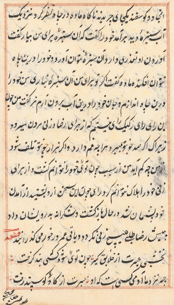 Página de Cuentos de un Loro (Tuti-nama): página de texto de Unknown artist