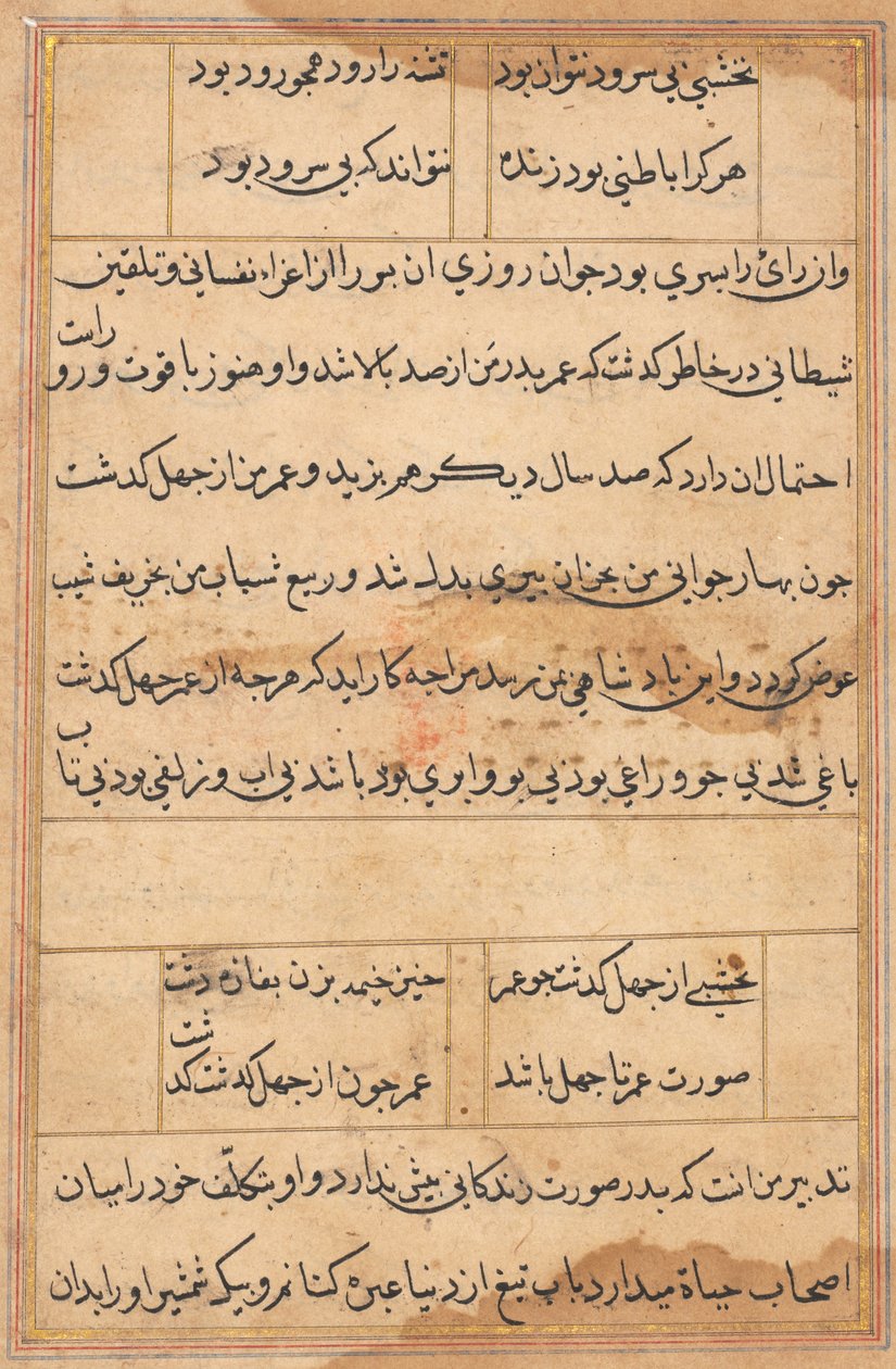 Página de Cuentos de un Loro (Tuti-nama): página de texto de Unknown artist