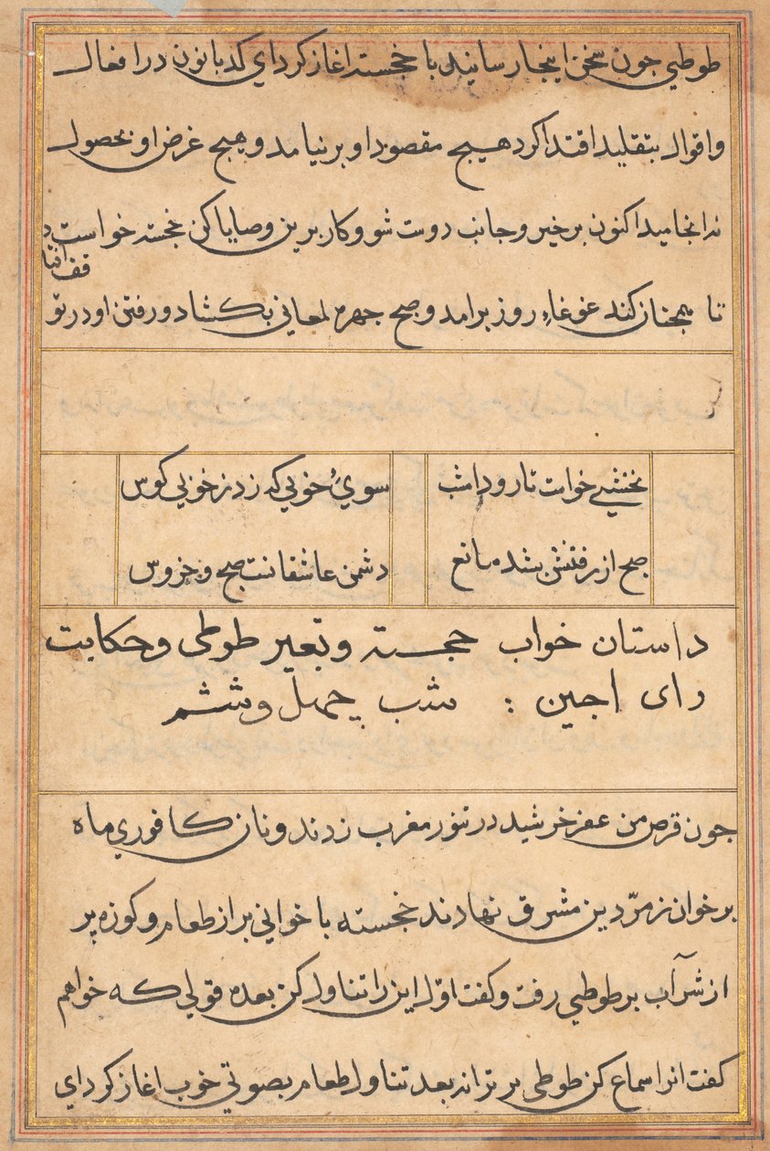Página de Cuentos de un Loro (Tuti-nama): página de texto de Unknown artist