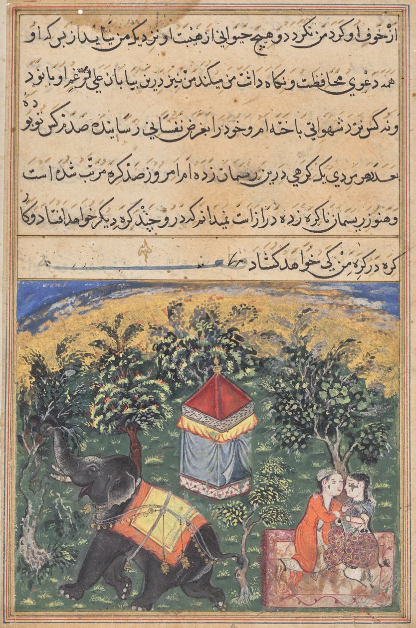 Página de Cuentos de un loro (Tuti-nama): página de texto de Unknown artist