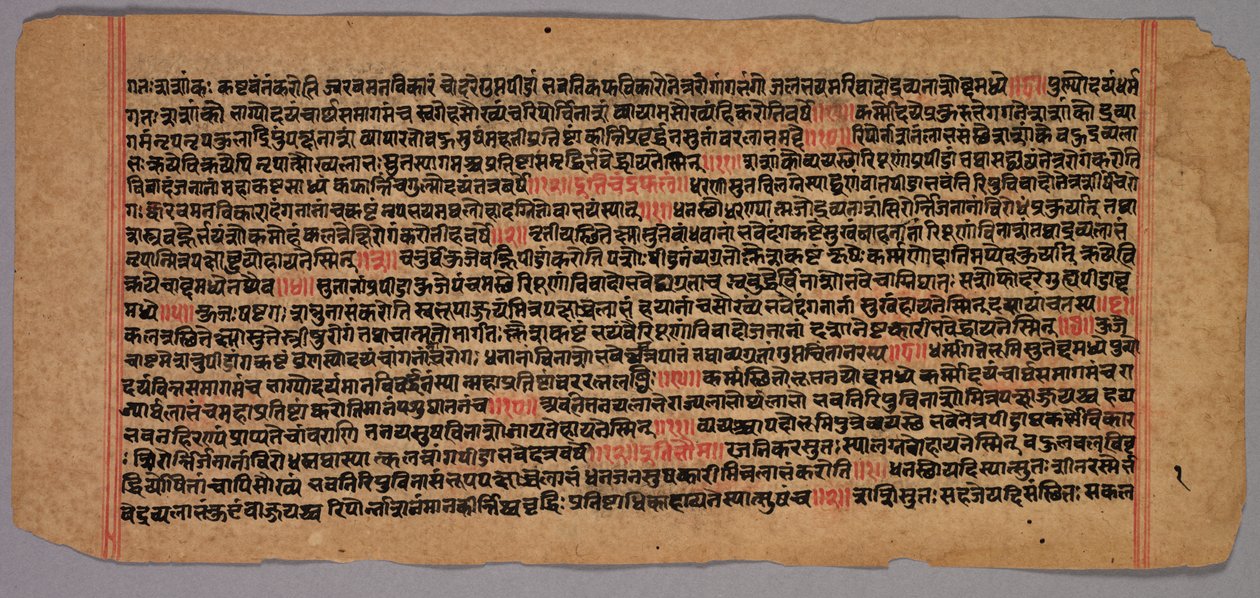 Páginas de un manuscrito Jaina de Unknown artist