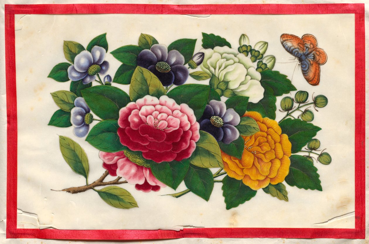 Pintura tres del Libro ilustrado de flores y mariposas de Unknown artist