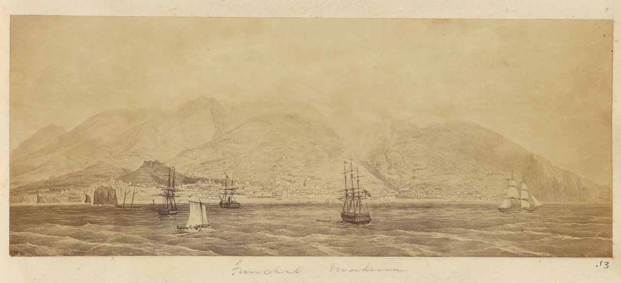 [Panorama del puerto, Funchal, Madeira] de Unknown artist