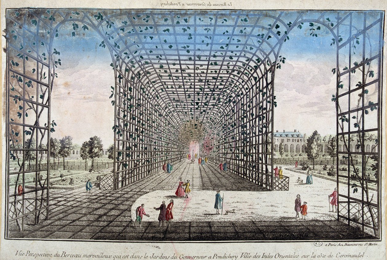 Vista en perspectiva de la cuna maravillosa que está en el Jardín del Gobernador en Pondichery (Pondicherry), ciudad de las Indias Orientales en la costa de Coromandel - grabado de Unknown artist
