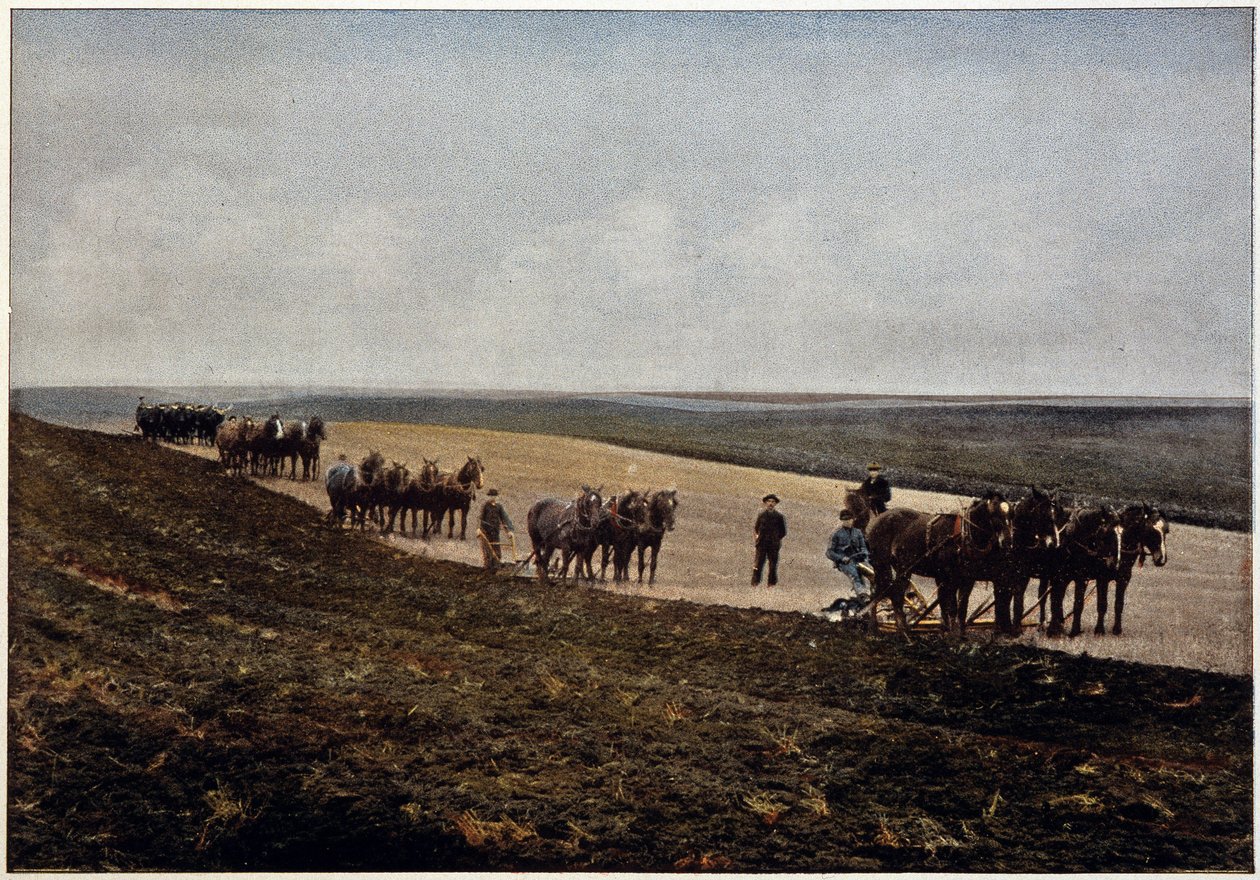 Arando en las llanuras de Manitoba (Canadá), finales del siglo XIX de Unknown artist