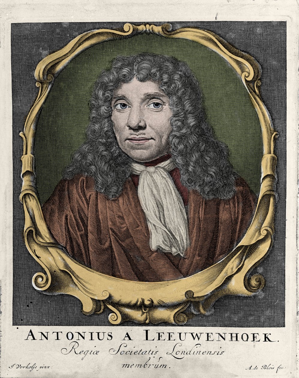 Retrato de Antonie Van Leeuwenhoek o Anton van Leeuwenhoek, o Leeuvenhoek, o Leeuwenhoeck. Naturalista holandés (1632-1723). Grabado de 1722 de Unknown artist