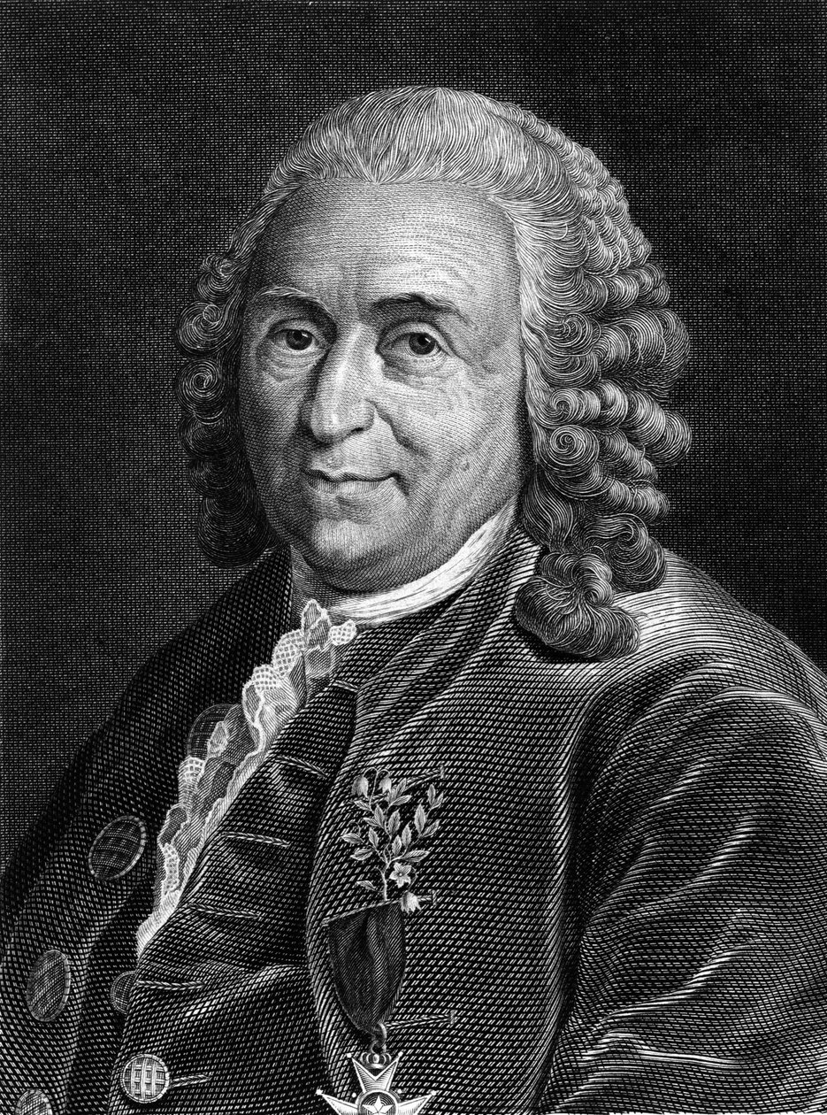 Retrato de Carl Von Linné, naturalista y escritor sueco (1707 - 1778). Grabado del siglo XIX. de Unknown artist