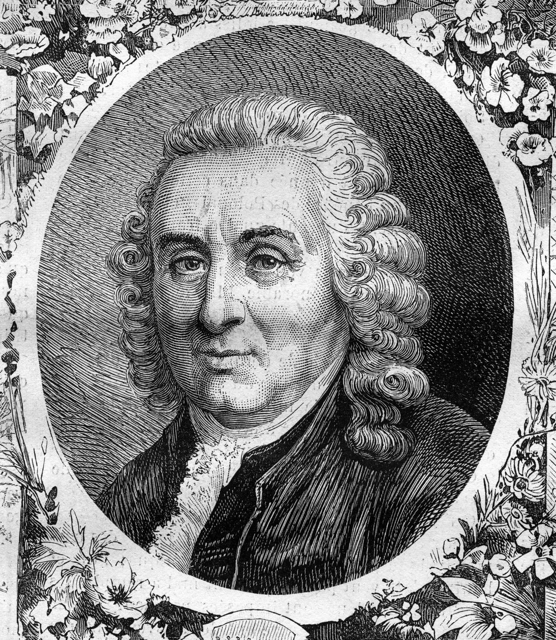 Retrato de Charles Linne (Carl von Linne, Carl Linnaeus) (1707-1778), naturalista sueco. Grabado de 1878 de Unknown artist