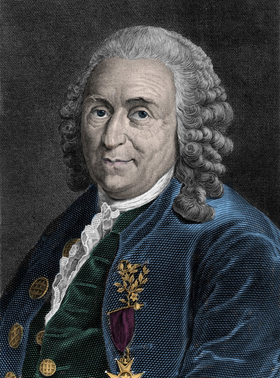 Retrato de Charles Linne (Carl von Linne, Linneo 1707-1778), naturalista sueco. Grabado del siglo XIX de Unknown artist
