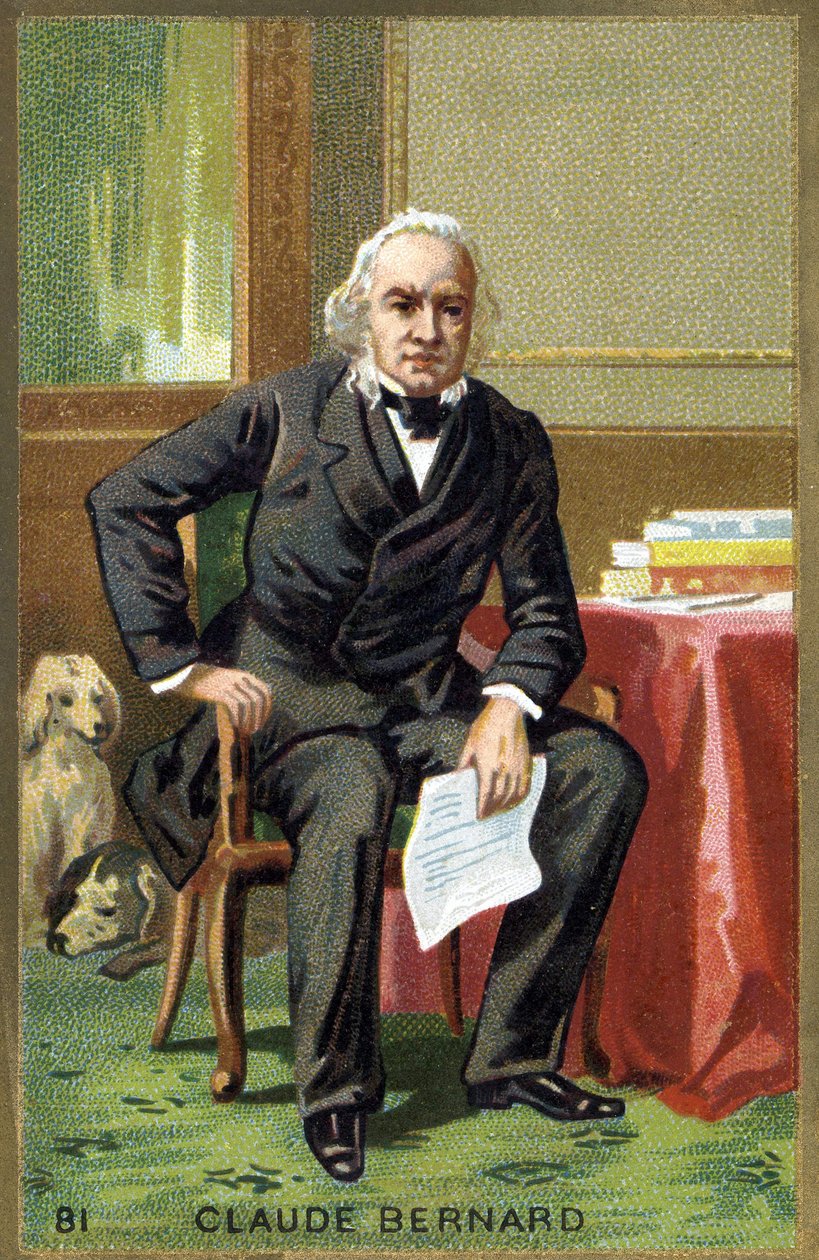 Retrato de Claude Bernard (1813 - 1878), fisiólogo francés. Cromolitografía del siglo XIX de Unknown artist