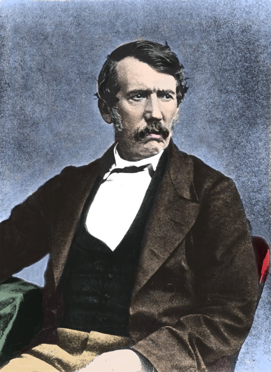 Retrato de David Livingstone (1813-1873) misionero y explorador escocés. de Unknown artist