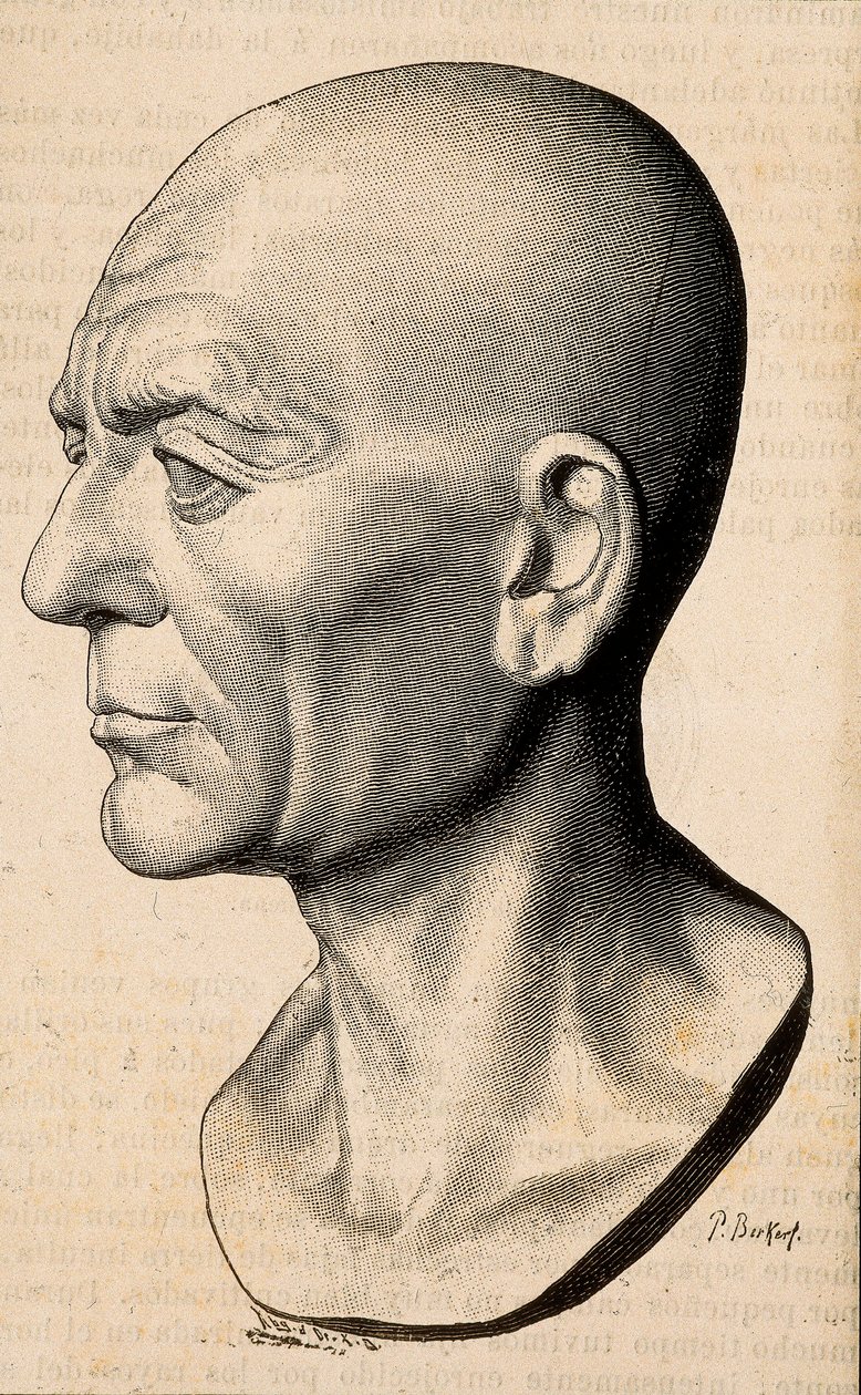 Retrato de Publio Cornelio Escipión el Africano, estadista romano (235-183 a.C.) de Unknown artist