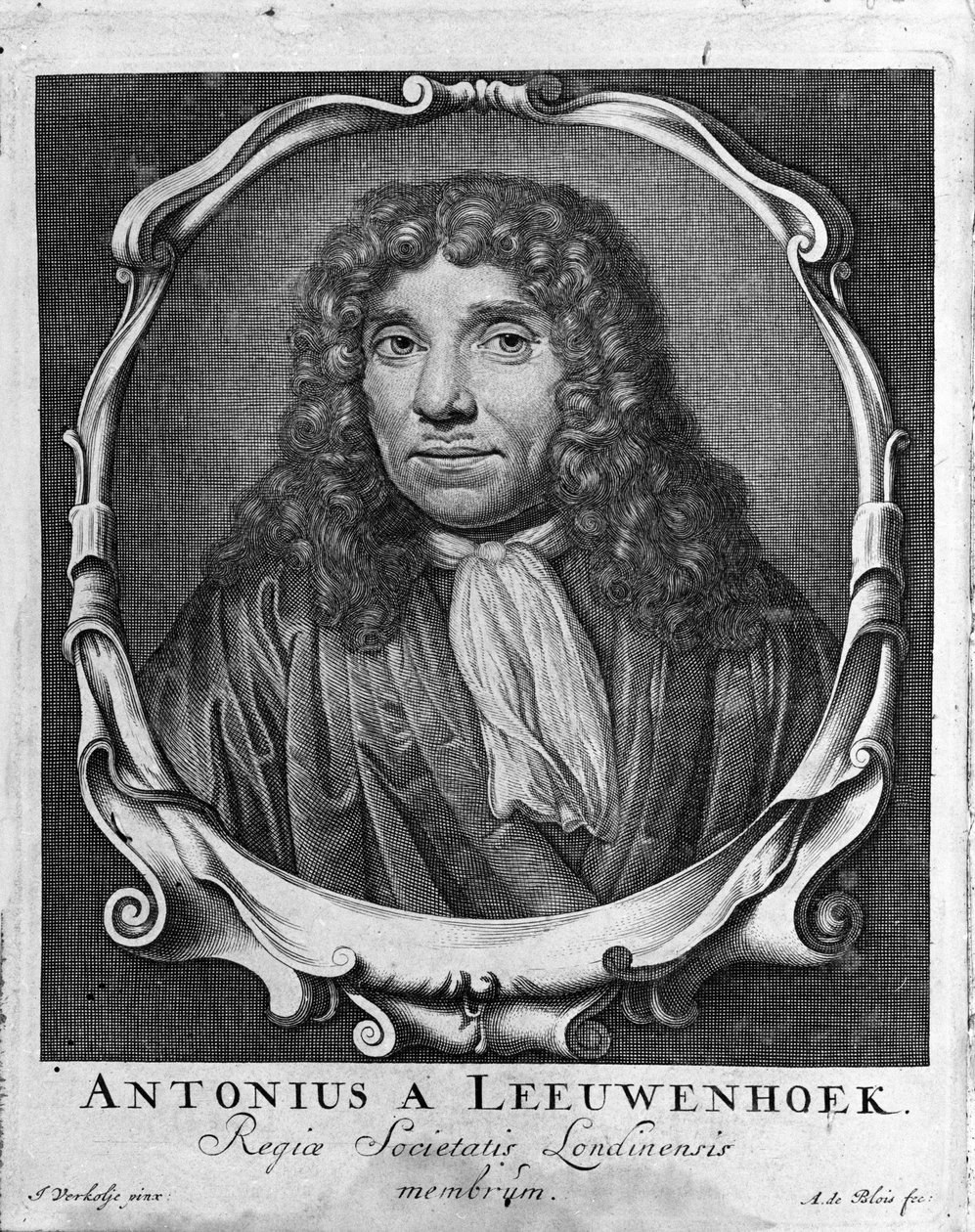 Retrato del comerciante y erudito holandés Antoine van Leeuwenhoek (1632-1723). Grabado de “Investigatio Arcanorum” 1722 de Unknown artist
