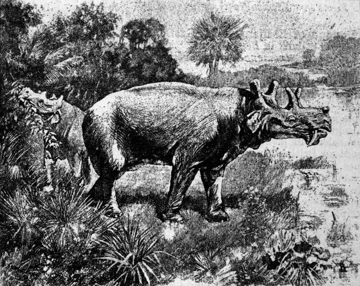 Prehistoria: representación de un dinosaurio Uintatherium de cuatro cuernos. de Unknown artist