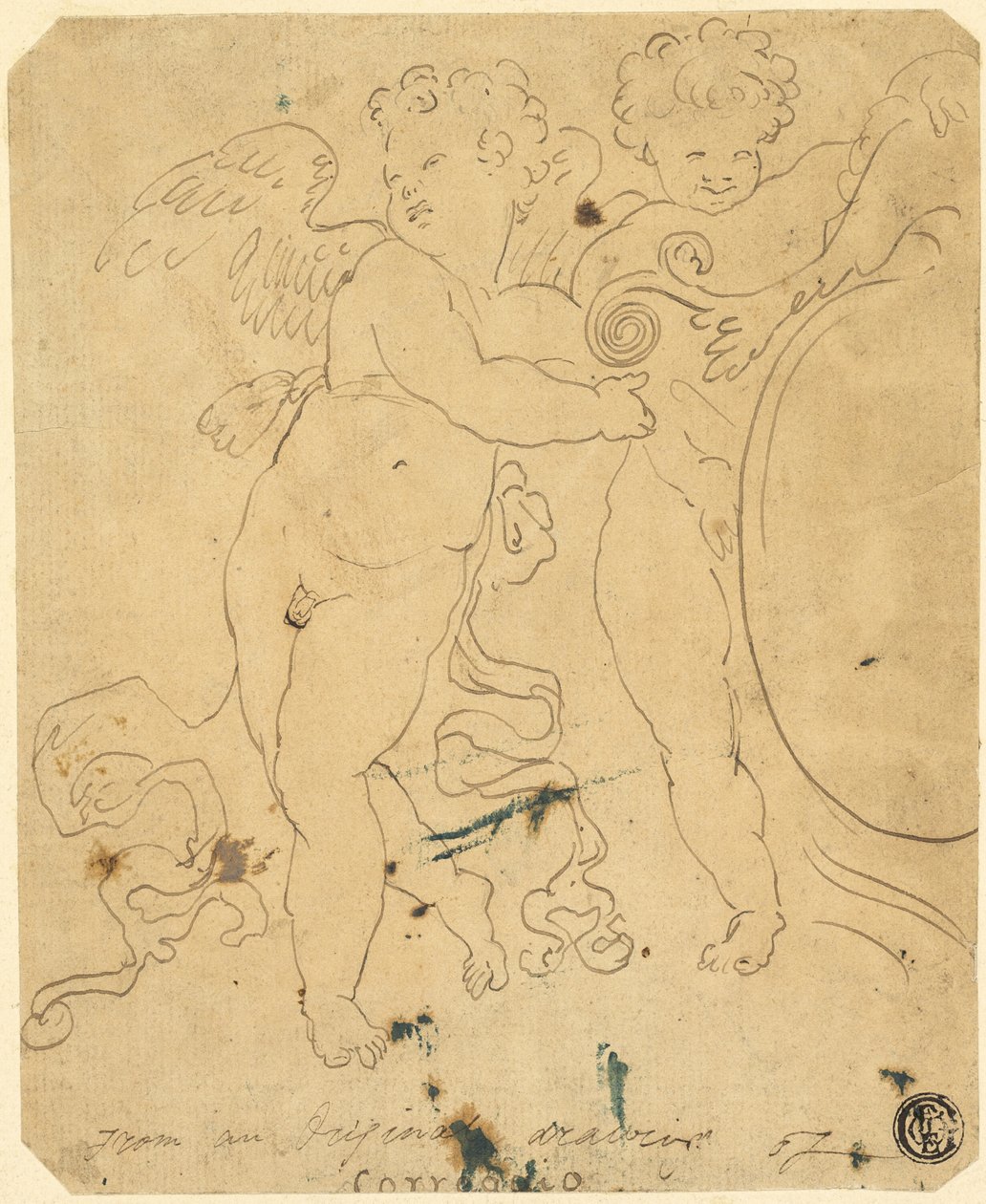 Putti con escudo de Unknown artist