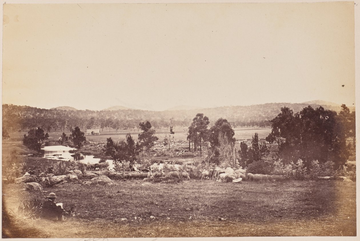 Rangers Valley, Noreste, Glen Innes de Unknown artist