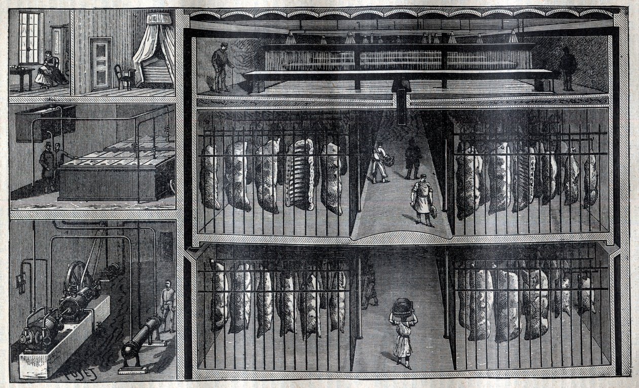 Almacenes refrigerados para carne - Grabado en "La Science française" de Unknown artist