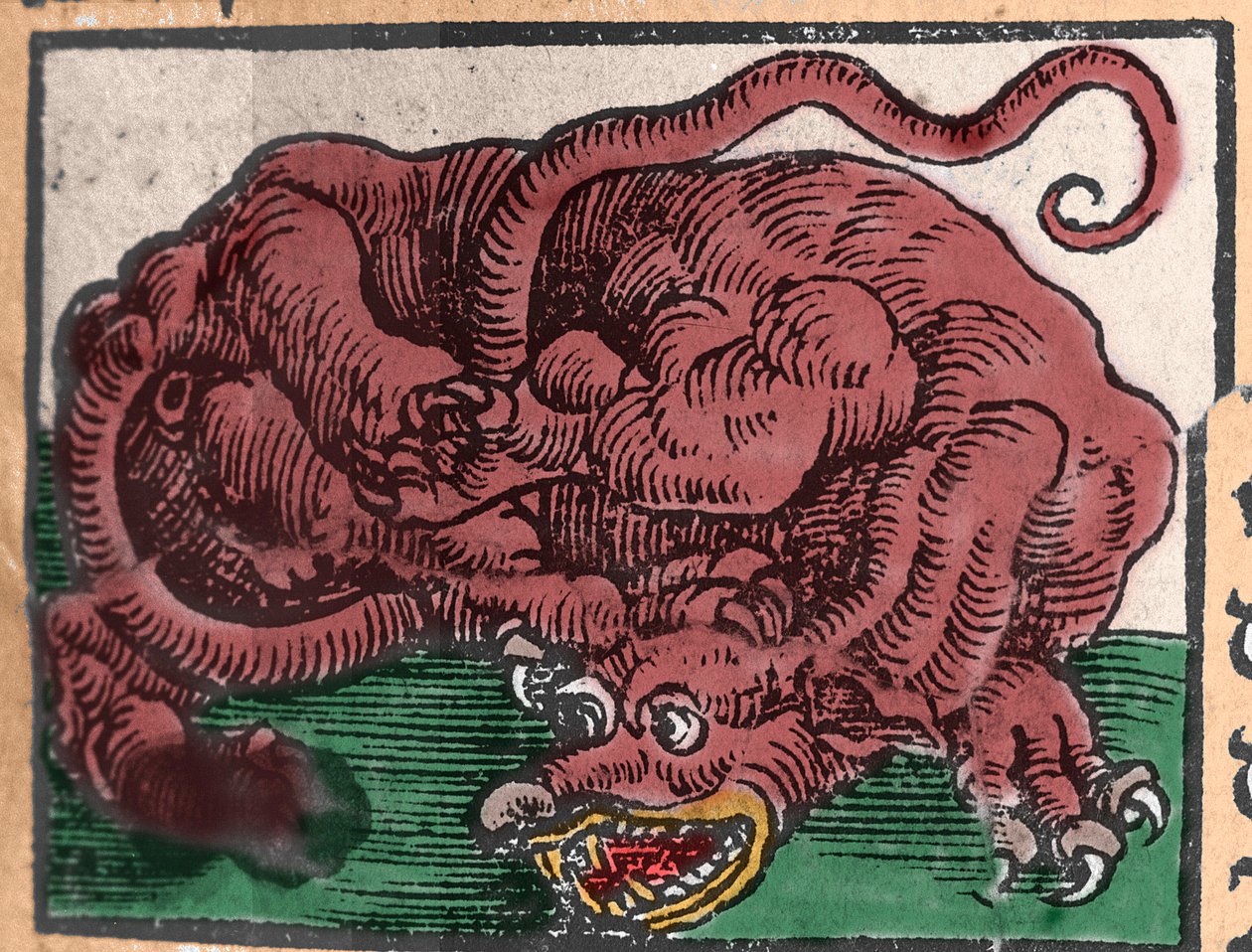 Representación de un dragón. Grabado de “Den Edlen Strength Besten Fromen” de Johann Stumpff. 1550 de Unknown artist