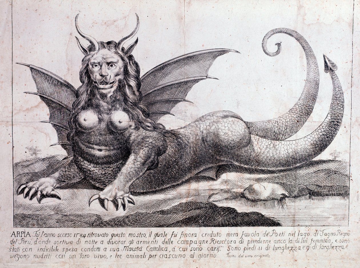 Representación de una arpía, un monstruo encontrado en un lago peruano de Unknown artist