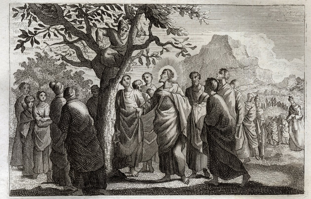 Biblia de Royaumont, Nuevo Testamento: Conversión de Zaqueo. Jesucristo hablando con Zaqueo subido al sicomoro. Ilustración de 1811. de Unknown artist
