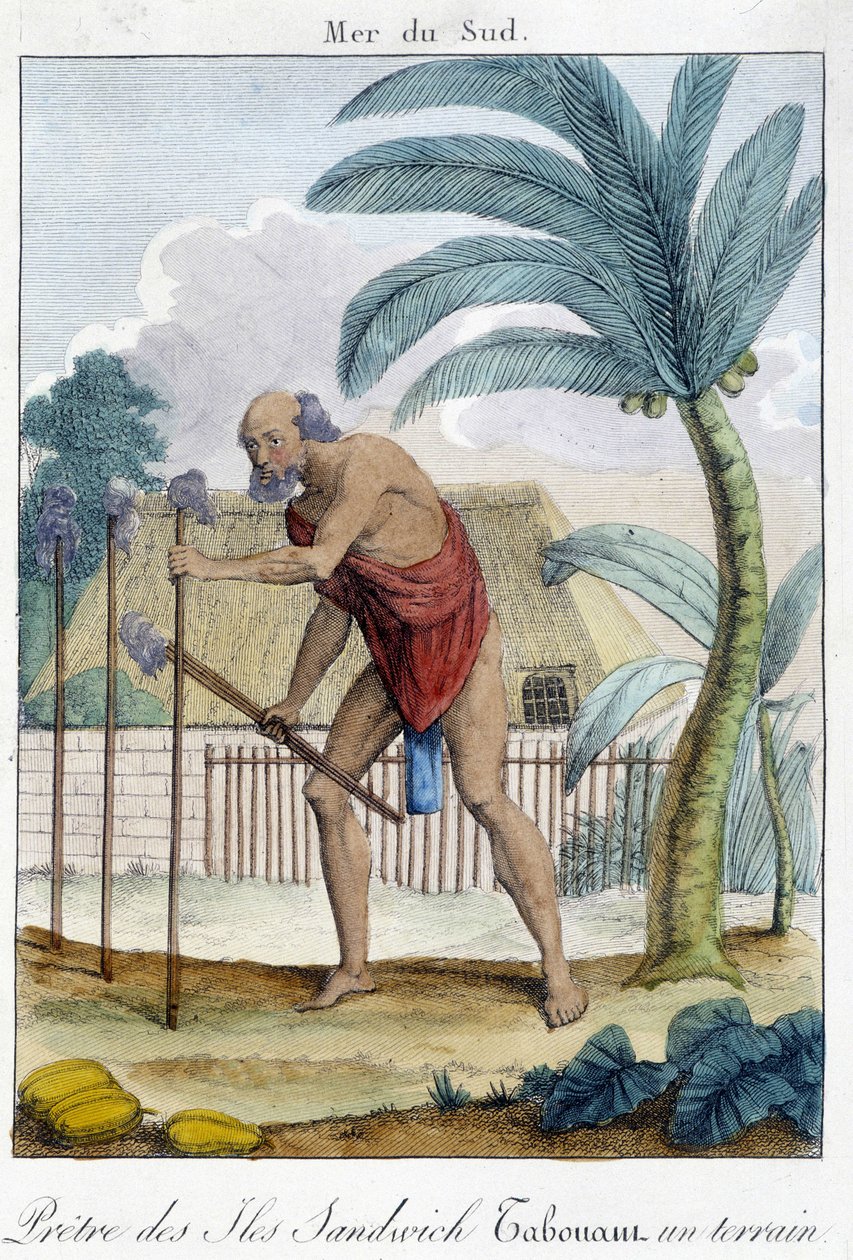Sacerdote de las Islas Sandwich golpeando un campo de Unknown artist