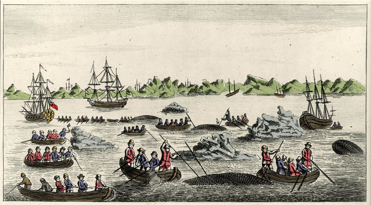 Escena de pesca de ballenas en Groenlandia en el siglo XVIII, impresión popular anónima de la época. de Unknown artist