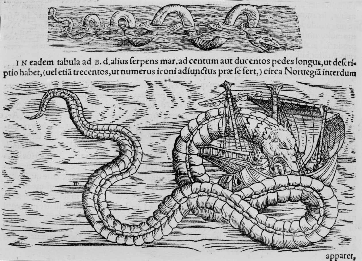 Serpiente marina, criatura marina según Conrad Gesner de Unknown artist