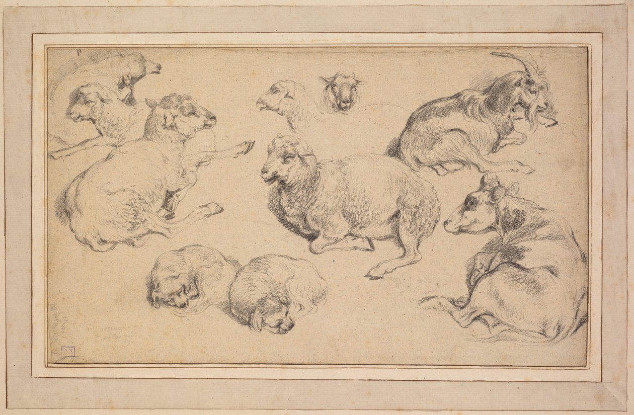 Hoja de estudios con ovejas, cabras y perros de Unknown artist