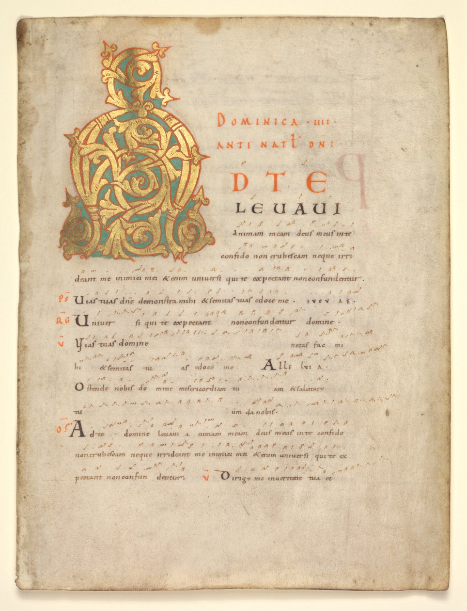 Hoja Única Extraída de un Gradual y Sacramentario: Inicial A[d te lavavi] de Unknown artist
