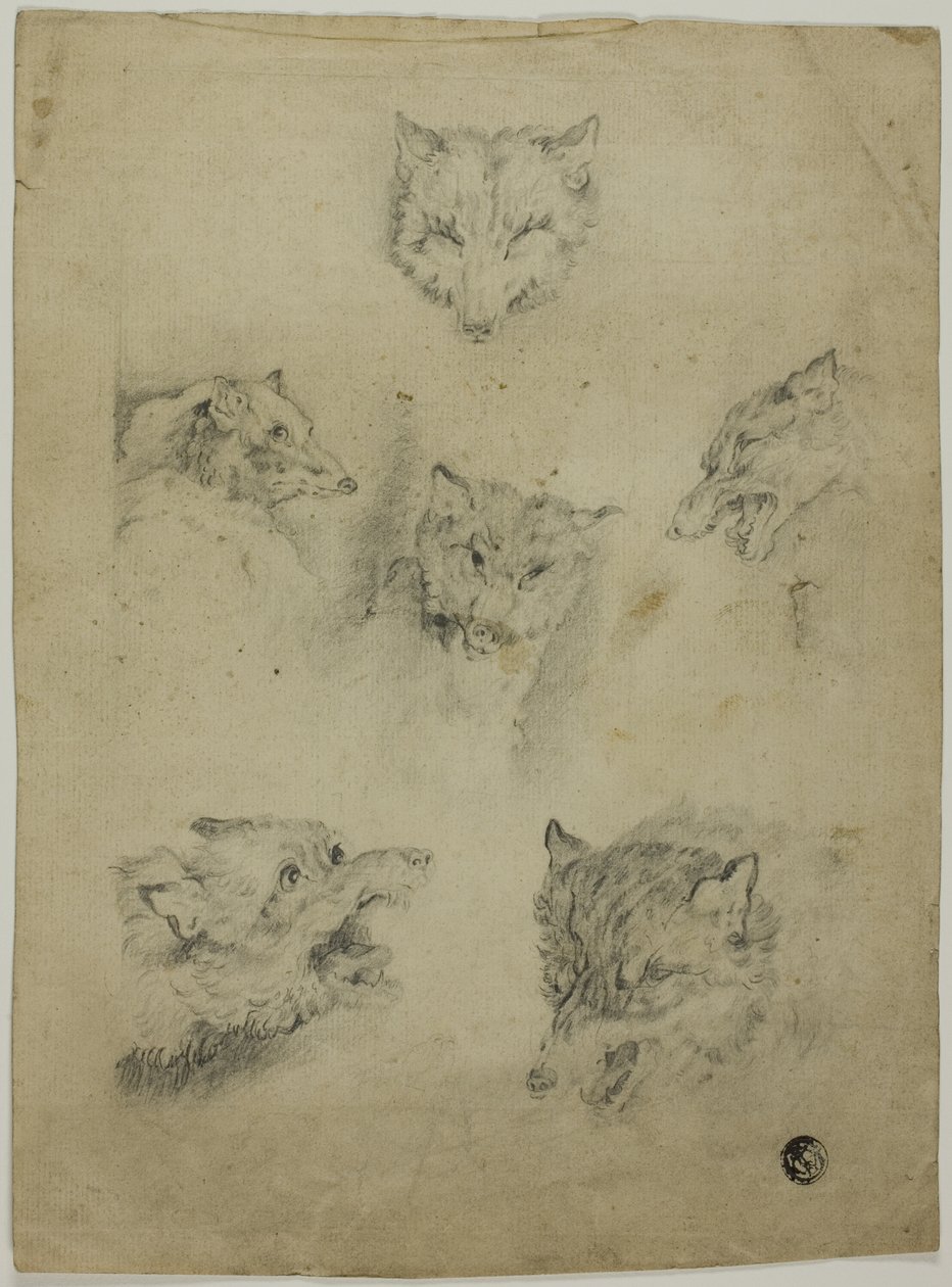 Seis bocetos de cabezas de lobo de Unknown artist