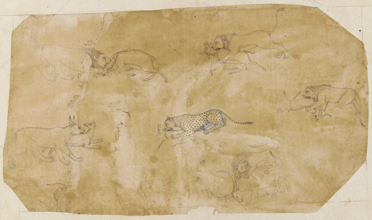Seis Grupos de Animales Luchando de Unknown artist