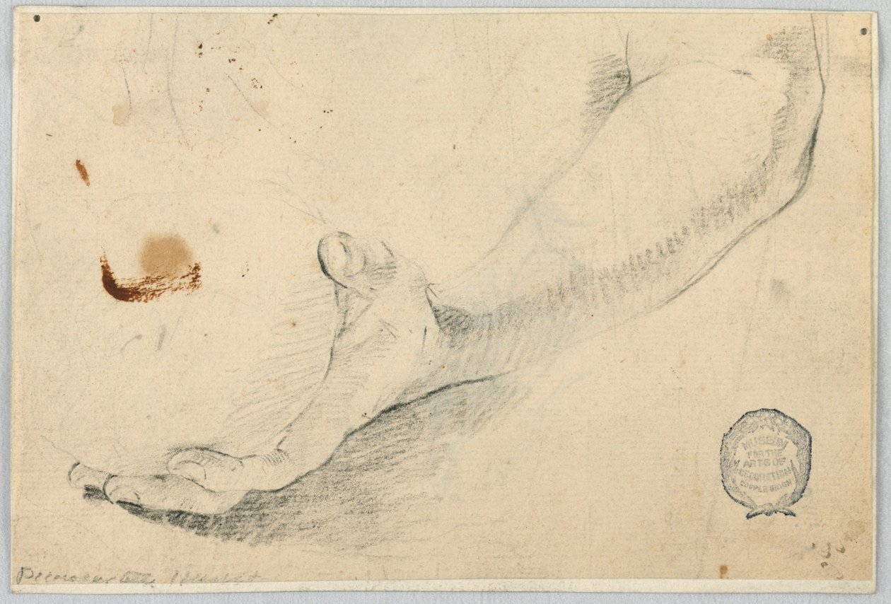 Boceto: Antebrazo de Unknown artist