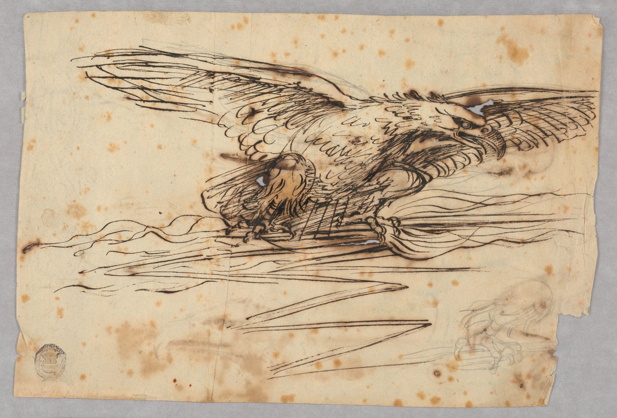 Bocetos para la representación de un águila sobre un rayo de Unknown artist