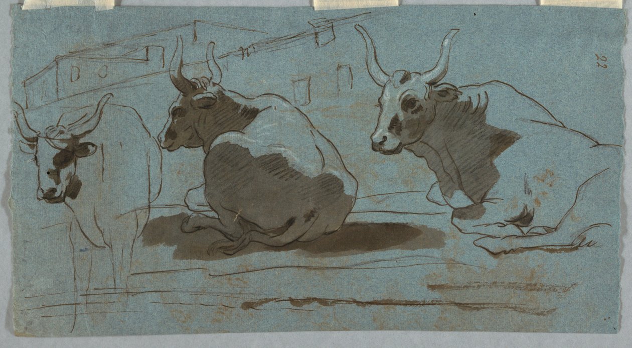 Bocetos de toros de Unknown artist