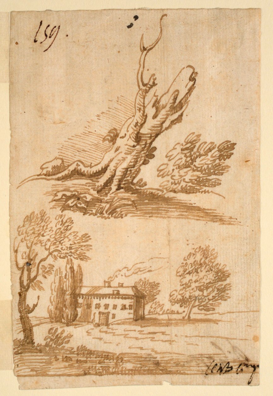 Bocetos de una Villa y Árbol de Unknown artist