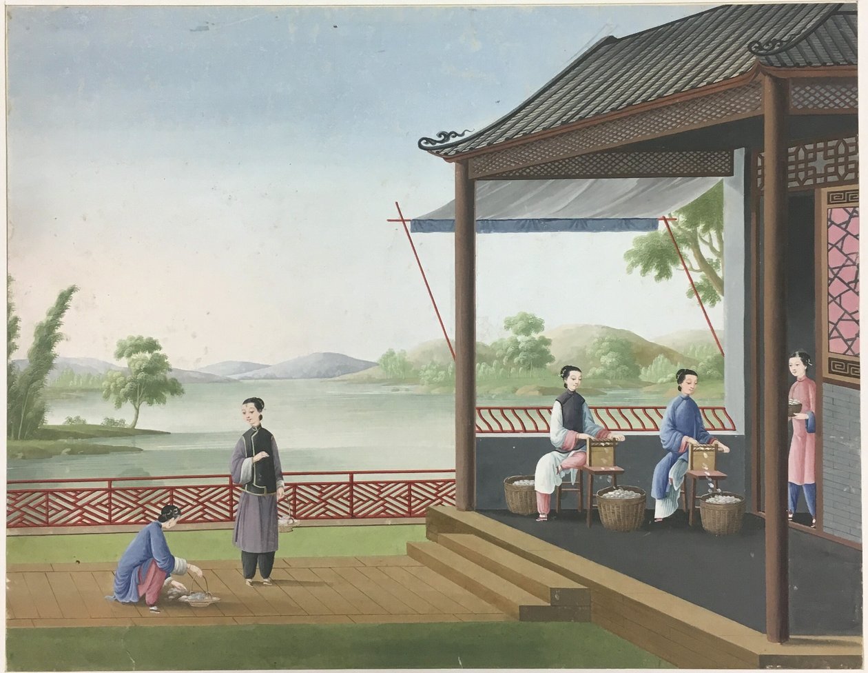 Hilado de tela, Preparación de las hojas de té, Preparación de la seda de Unknown artist