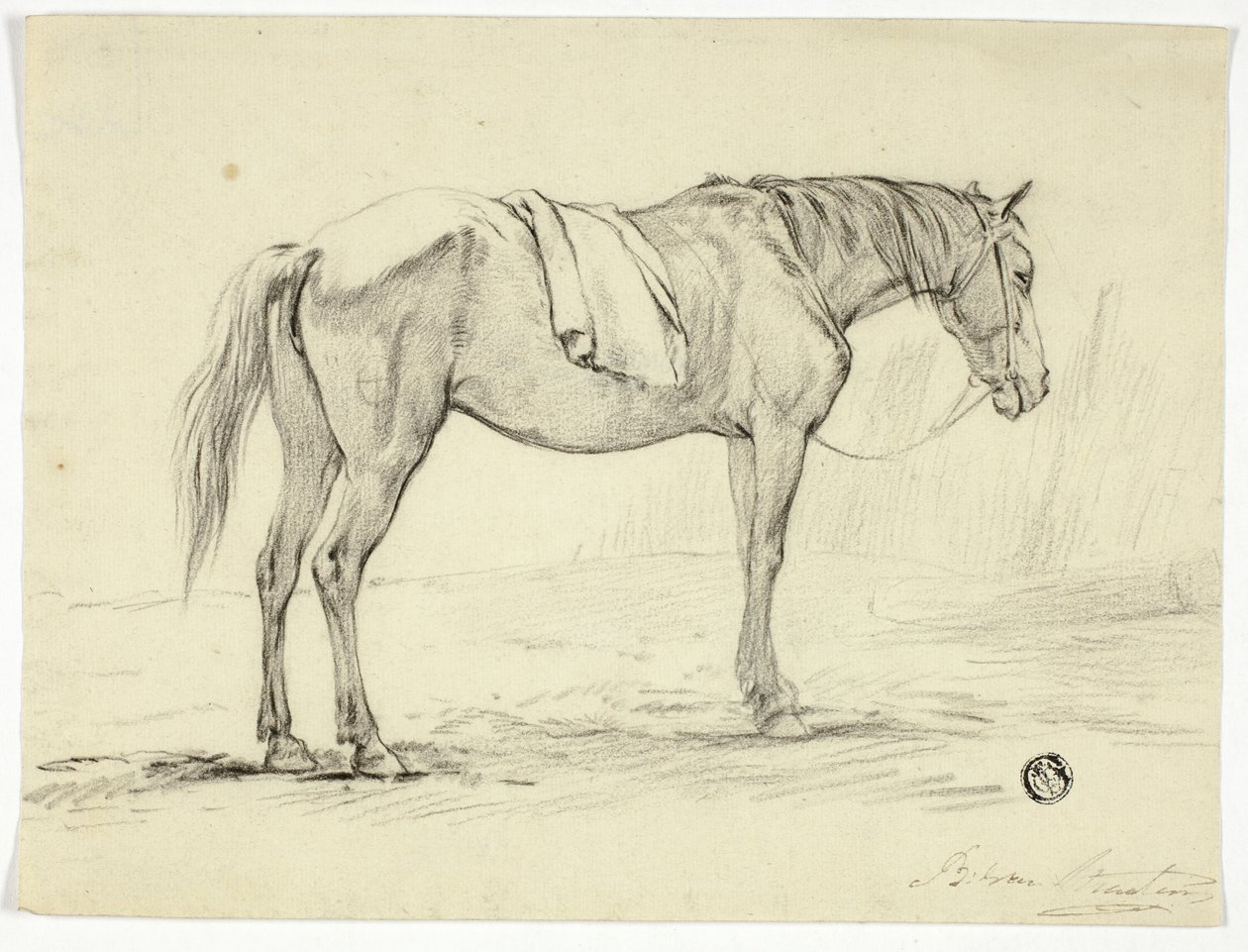 Caballo de pie de Unknown artist