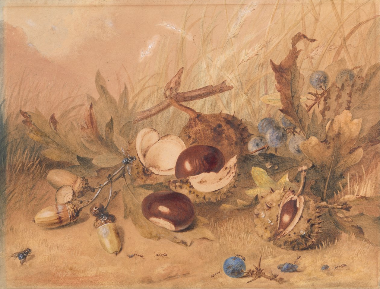 Bodegón con bellotas y castañas de Indias de Unknown artist