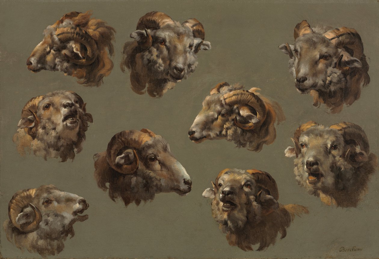 Studies of Ram Heads de Unknown artist