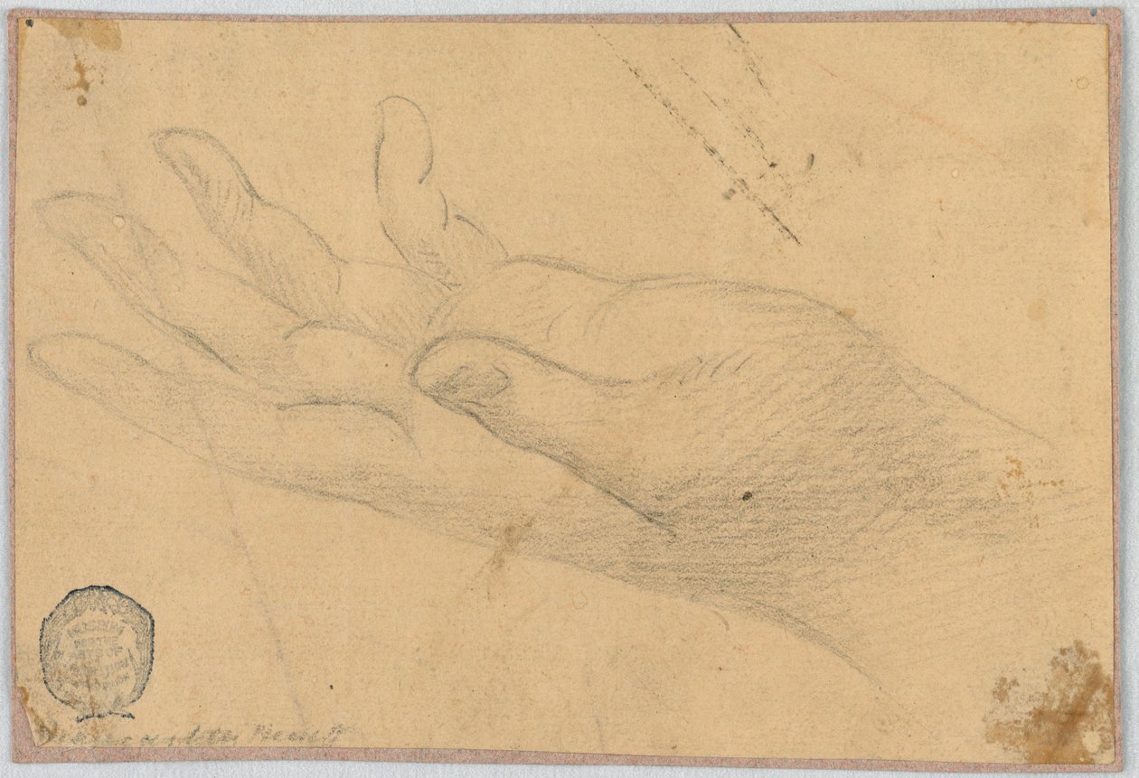Estudio: Una mano izquierda de Unknown artist