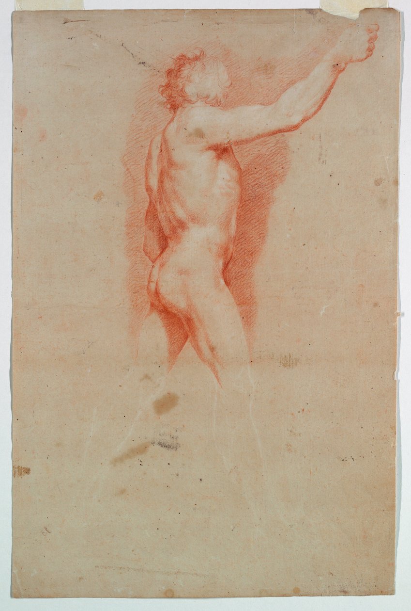 Estudio: Un desnudo de Unknown artist