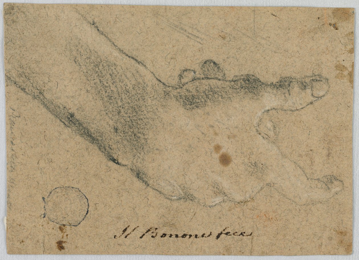 Estudio: Una mano derecha de Unknown artist