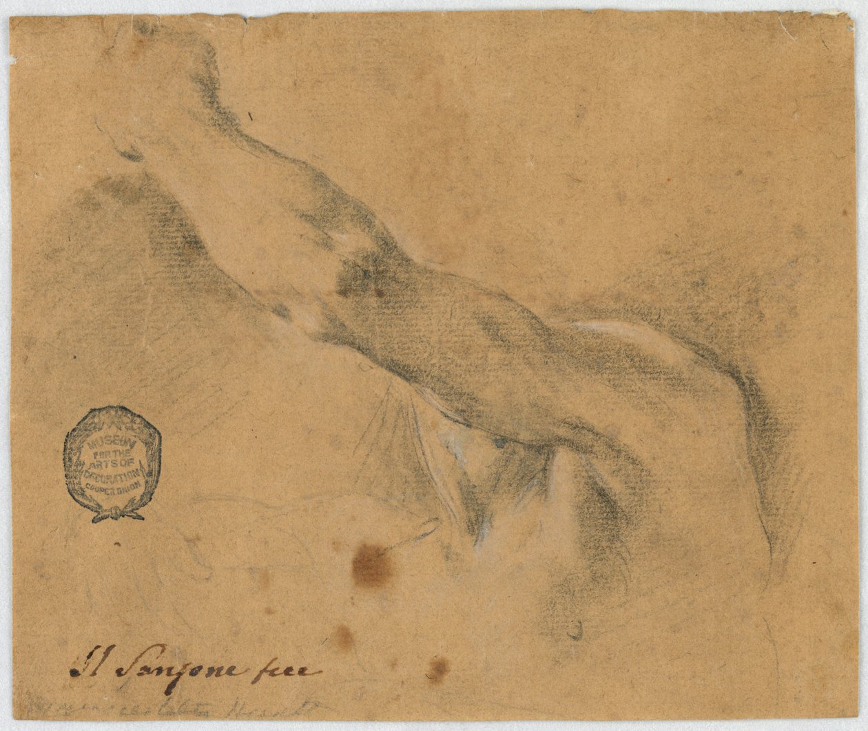 Estudio: El brazo izquierdo y las partes vecinas del cuerpo de un hombre anciano de Unknown artist