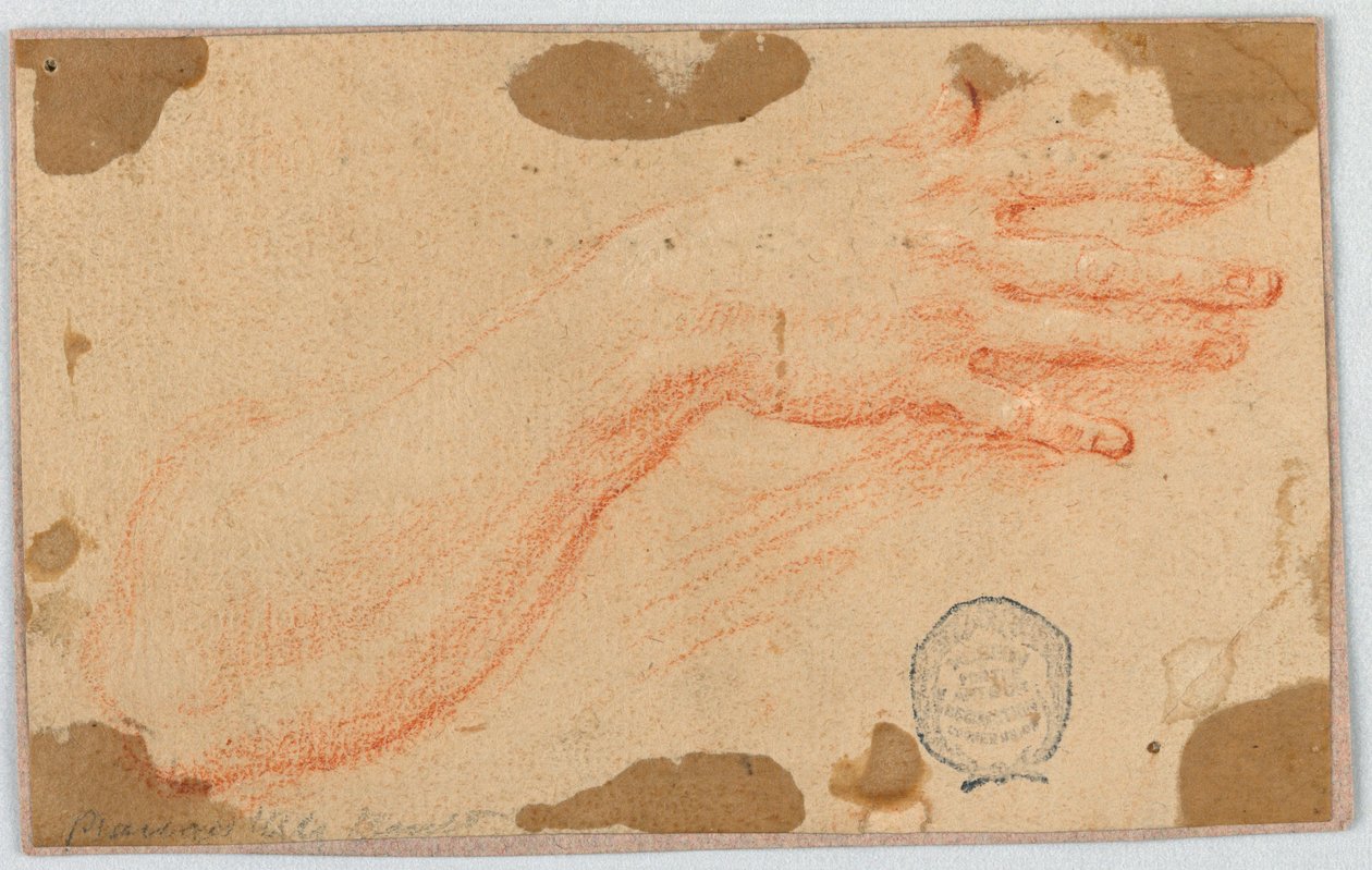Estudio para el antebrazo derecho y la mano de una mujer de Unknown artist