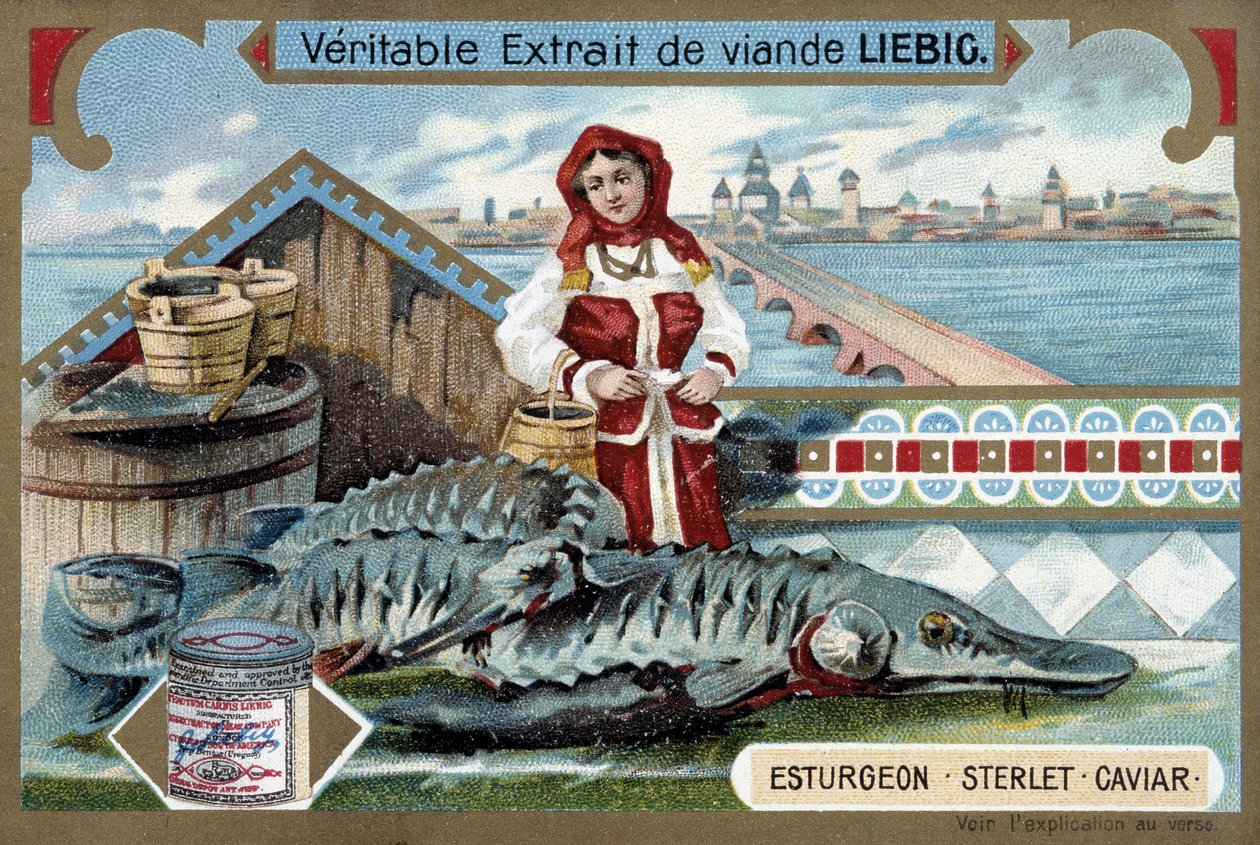 Esturión, esterlina, caviar, con una joven sosteniendo cubos, frente a una ciudad rusa - cromolitografía de Liebig de Unknown artist