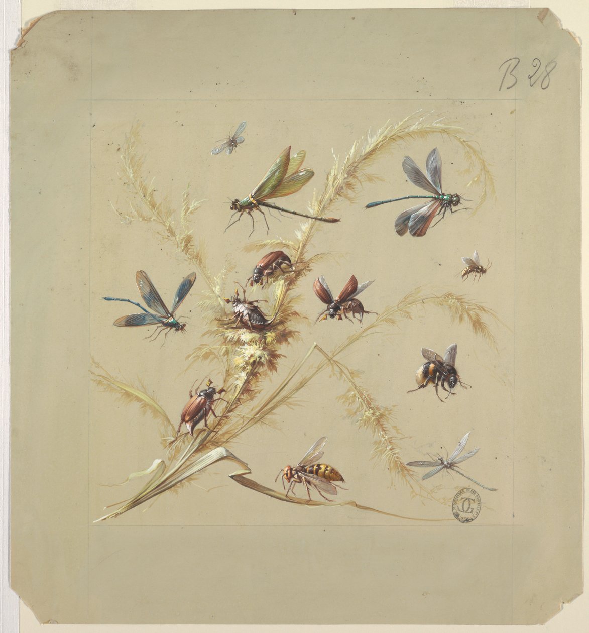 Diseño textil o de papel tapiz: insectos de Unknown artist