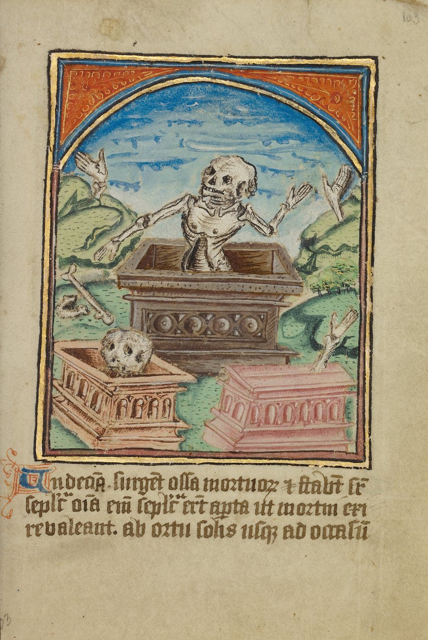 La undécima señal antes del Juicio Final de Unknown artist
