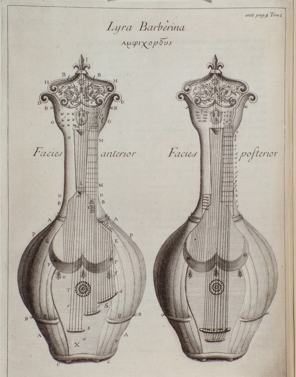La Lyra Barberina de Unknown artist